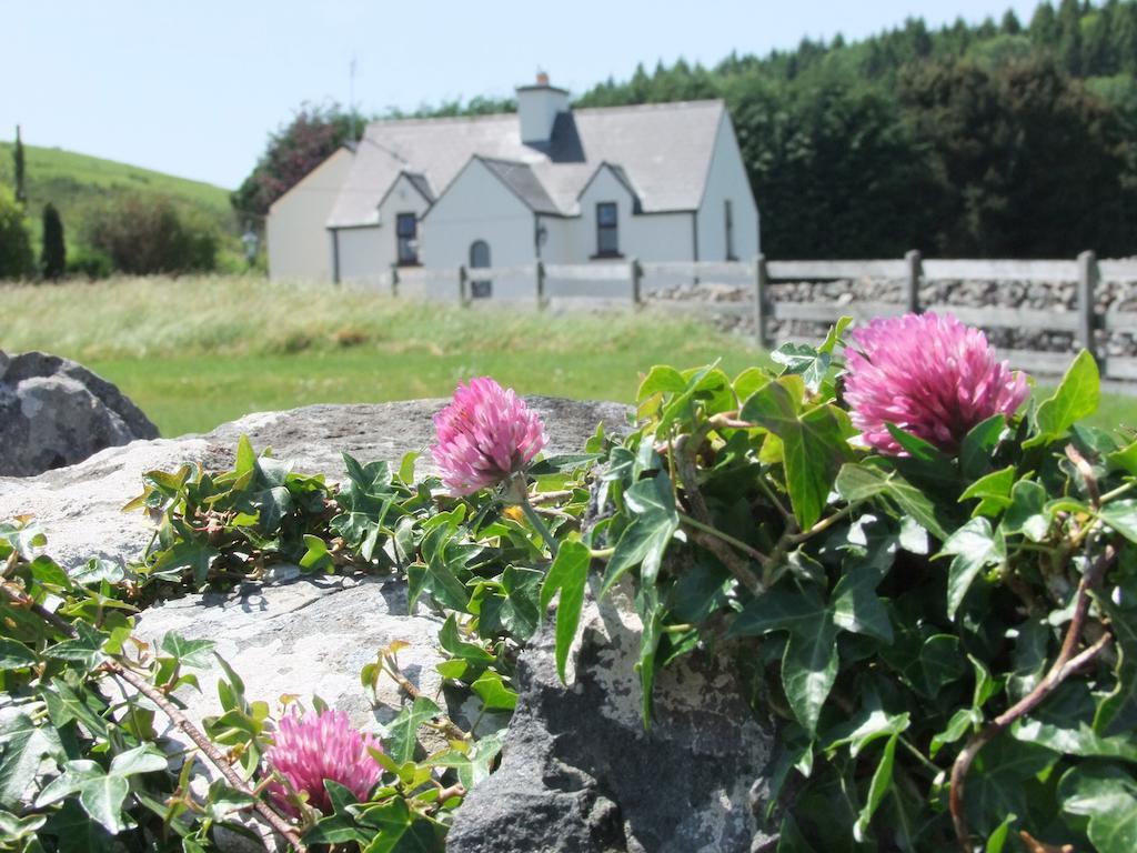 Inishfree House Hotel Cong Eksteriør billede