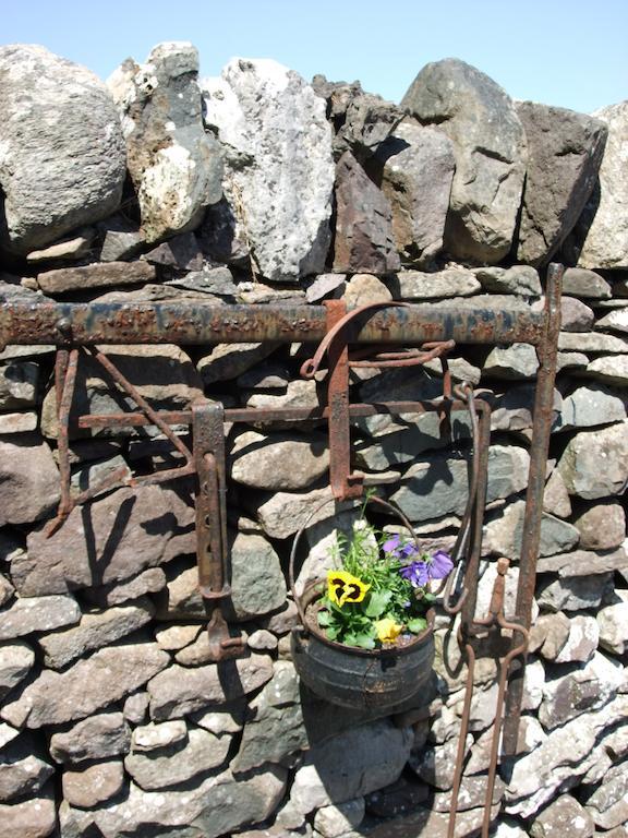 Inishfree House Hotel Cong Eksteriør billede